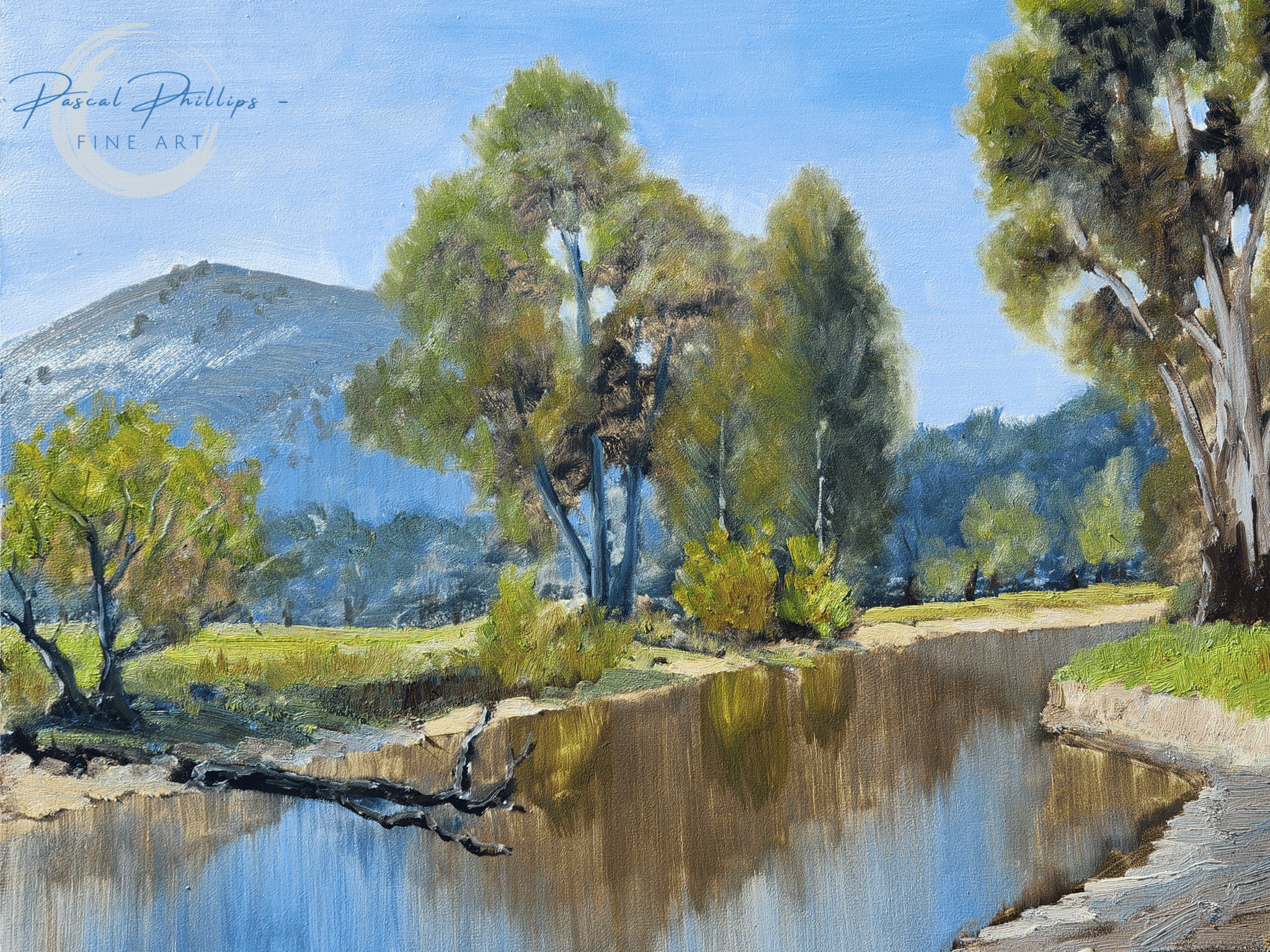 Home [pascalphillipsfineart.com.au]
